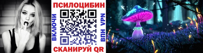 darknet клад  где продают   Пикалёво  Псилоцибиновые грибы мицелий 